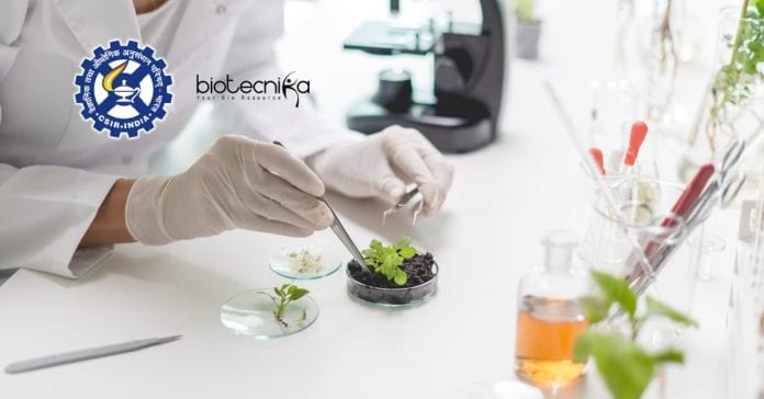 CSIR-CSIO Biotech Project Recruitment