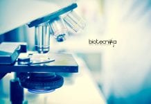 CSIR-CSMCRI Biology JRF/Project Associate Jobs – Applications Invited CSIR-CSMCRI Biology JRF