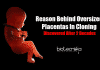 Mystery Behind Oversized Placentas In Cloning Discovered After 20 Years Causes for oversized placentas in cloning