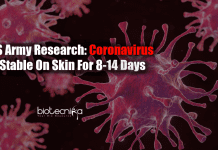 Coronavirus stable on skin