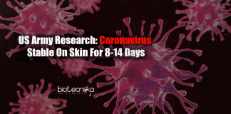 Coronavirus stable on skin