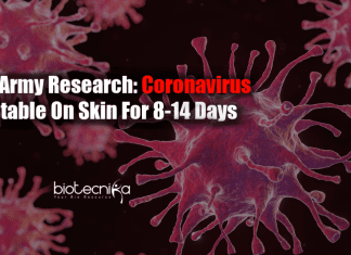 Coronavirus stable on skin