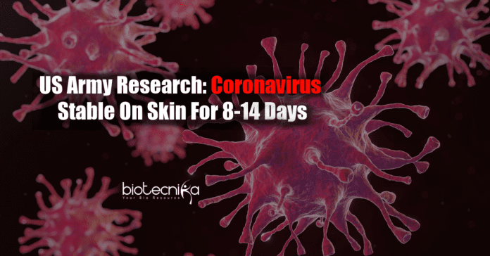 Coronavirus stable on skin