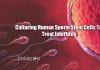 Culturing Sperm stem cells