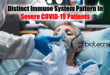 Distinct Immune System Pattern