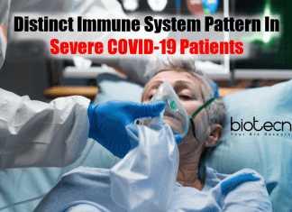 Distinct Immune System Pattern