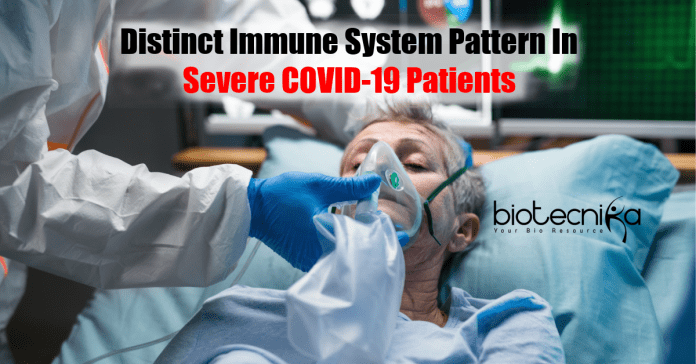 Distinct Immune System Pattern