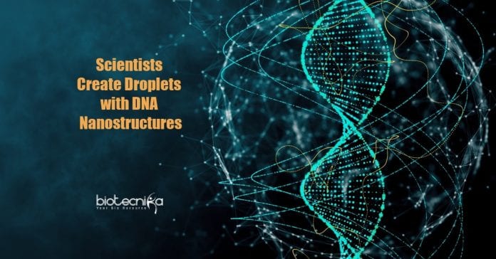 Droplets With Designed DNA Nanostructures 