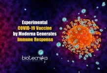 Moderna & NIAID’s Experimental COVID-19 Vaccine Found To Be Safe, Generates Immune Response Experimental COVID-19 Vaccine