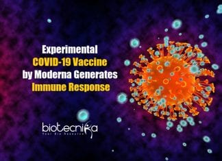 Experimental COVID-19 Vaccine