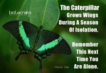 Biotecnika Times – Newsletter 07.07.2020 – NCBS Recruitment, Govt ICFRE & RGCB Hiring