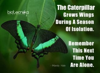 Biotecnika Times – Newsletter 07.07.2020 – NCBS Recruitment, Govt ICFRE & RGCB Hiring