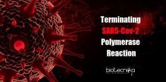 Molecules Shut Down SARS-Cov-2