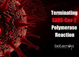 Terminating SARS-Cov-2 Polymerase Reaction – New Molecules Discovered Molecules Shut Down SARS-Cov-2