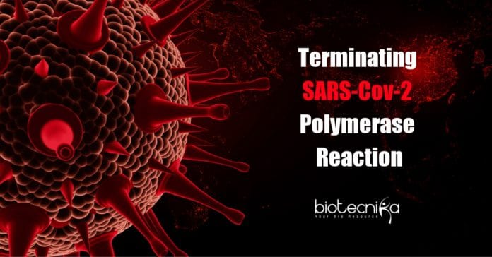 Molecules Shut Down SARS-Cov-2