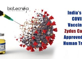 Zydus Cadila's COVID19 Vaccine