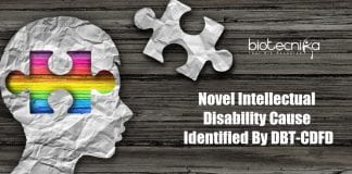 a new type of intellectual disability