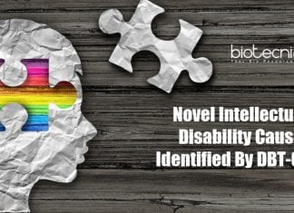 Novel Intellectual Disability Cause Identified By DBT-CDFD a new type of intellectual disability
