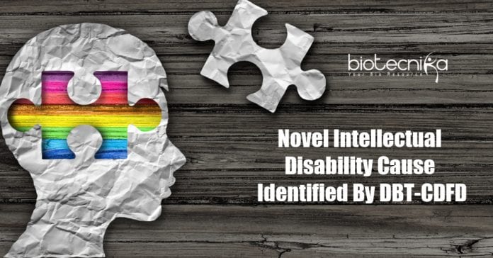 a new type of intellectual disability