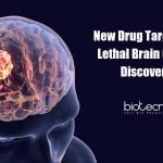 New Drug Targets for Glioblastoma