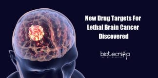 New Drug Targets for Glioblastoma