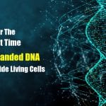 imaging quadruple helix DNA