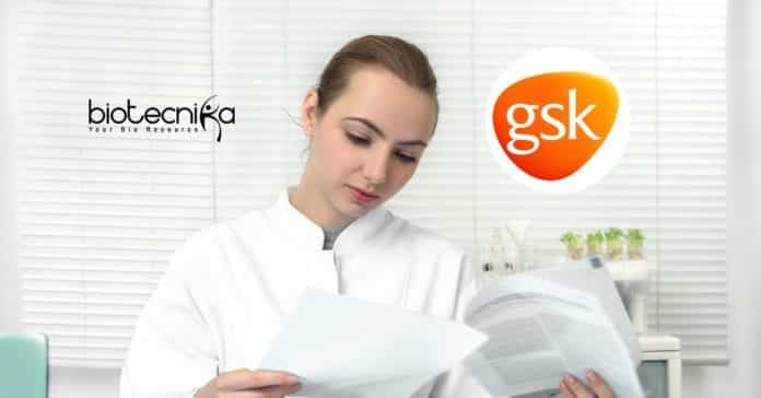 GSK Scientific Writer Job