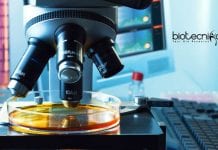 General Mills Science & Information Analysis Job For Food Tech / Biotech General Mills Science