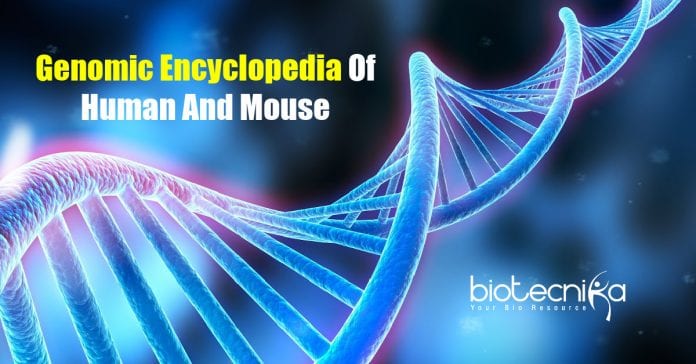 Genomic Encyclopedia