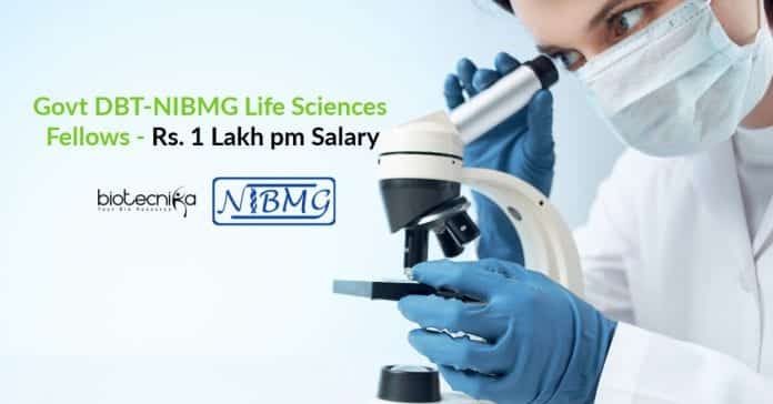 Govt DBT-NIBMG Life Sciences Fellows