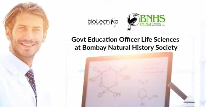 Govt Education Officer