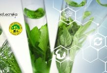 Govt ICFRE Biotech Research & Project Fellow Recruitment Govt ICFRE Biotech Research