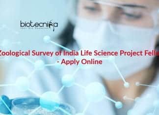 Govt Zoological Survey of India Life Science Project Fellow Job – Apply Online Govt Jobs Latest