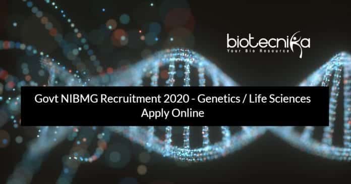 Govt NIBMG Recruitment 2020