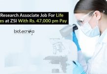 Govt Research Associate Job For Life Sciences at ZSI – Rs. 47,000 pm Pay Govt Research Associate Job