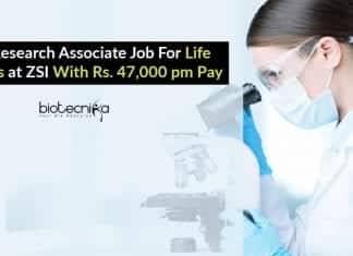 Govt Research Associate Job
