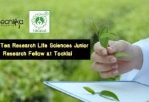 Govt Tea Research Life