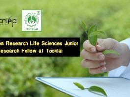 Govt Tea Research Life Sciences Junior Research Fellow at Tocklai Govt Tea Research Life