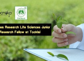 Govt Tea Research Life