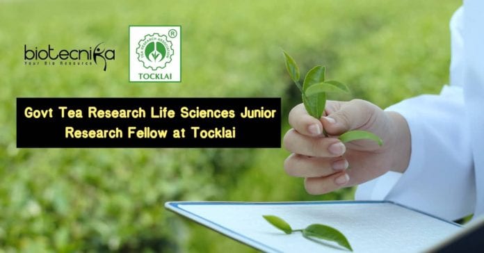 Govt Tea Research Life