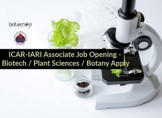ICAR-IARI Associate Job Opening