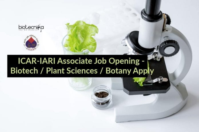 ICAR-IARI Associate Job Opening