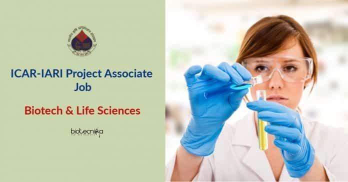 ICAR-IARI Project Associate Job