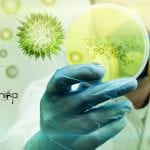 ICAR-NIVEDI Biotech