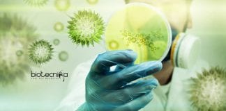ICAR-NIVEDI Biotech