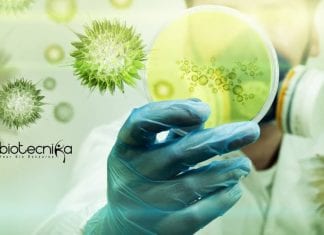 ICAR-NIVEDI Biotech