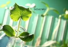 ICAR-NRCPB Biological Science Research Recruitment – Walk-In-Interview ICAR-NRCPB Biological Science Research