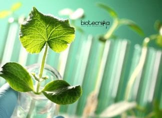 ICAR-NRCPB Biological Science Research