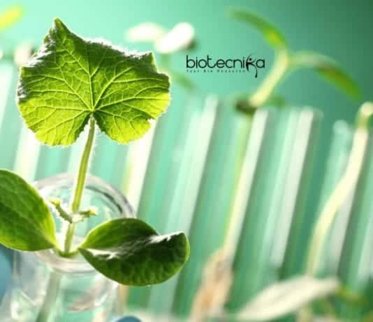 ICAR-NRCPB Biological Science Research