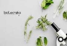 ICAR-NRCPB Genetics / Biotech / Mol Bio Job – Rs. 54,000 pm Pay ICAR-NRCPB Genetics